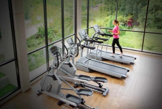 Dedicated Wellness and Yoga Spaces