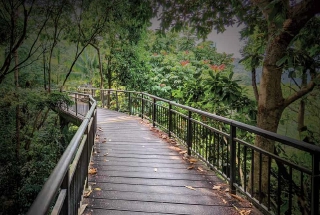 Scenic Riverside Boardwalk